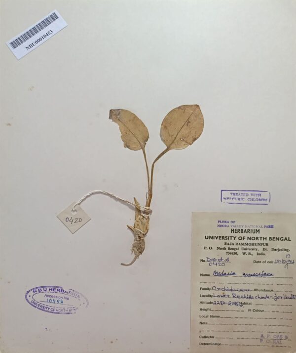 DocScanner 7 Apr 2026 4-24 pm – Copy